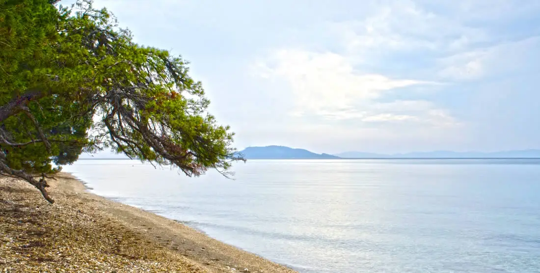 elia beach sithonia apartments